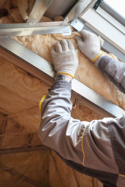 Best Insulation for Commercial Buildings  in Aransas Pass, TX