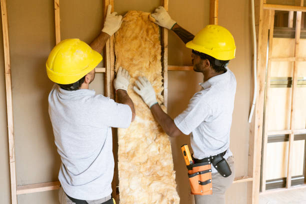 Best Spray Foam Insulation  in Aransas Pass, TX