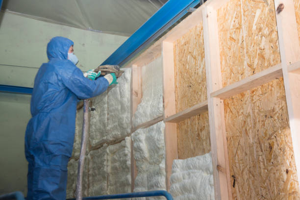Best Attic Insulation Near Me  in Aransas Pass, TX